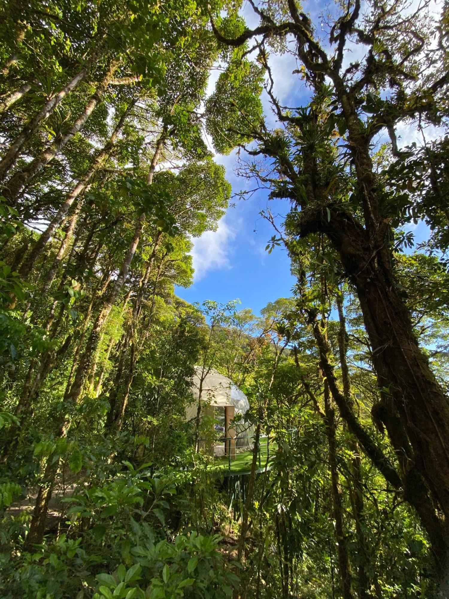 Way To Heaven Glamping Hotel Monteverde Bagian luar foto
