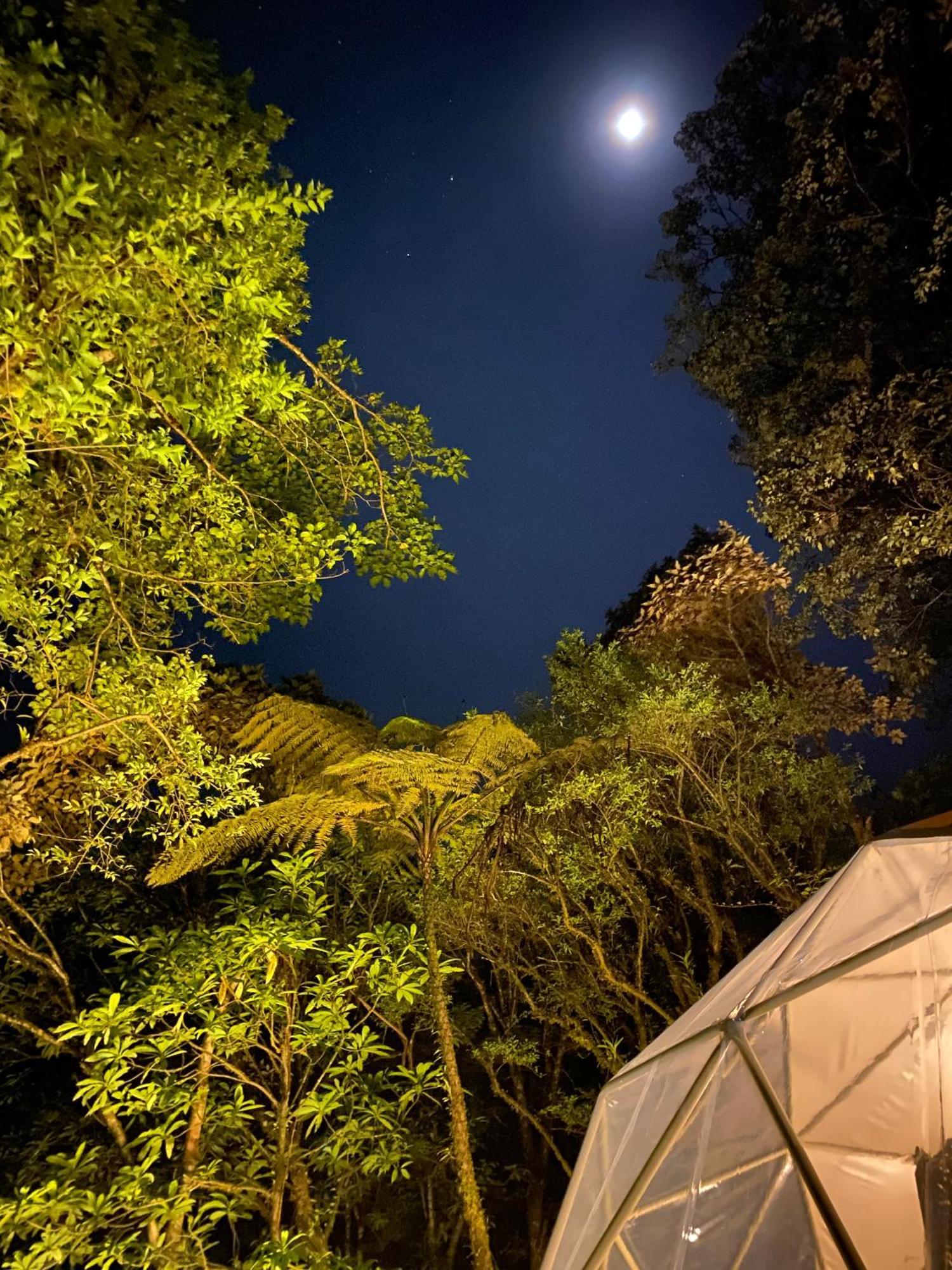 Way To Heaven Glamping Hotel Monteverde Bagian luar foto